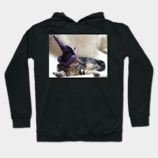 Hocus Pocus Kitty Focus Hoodie